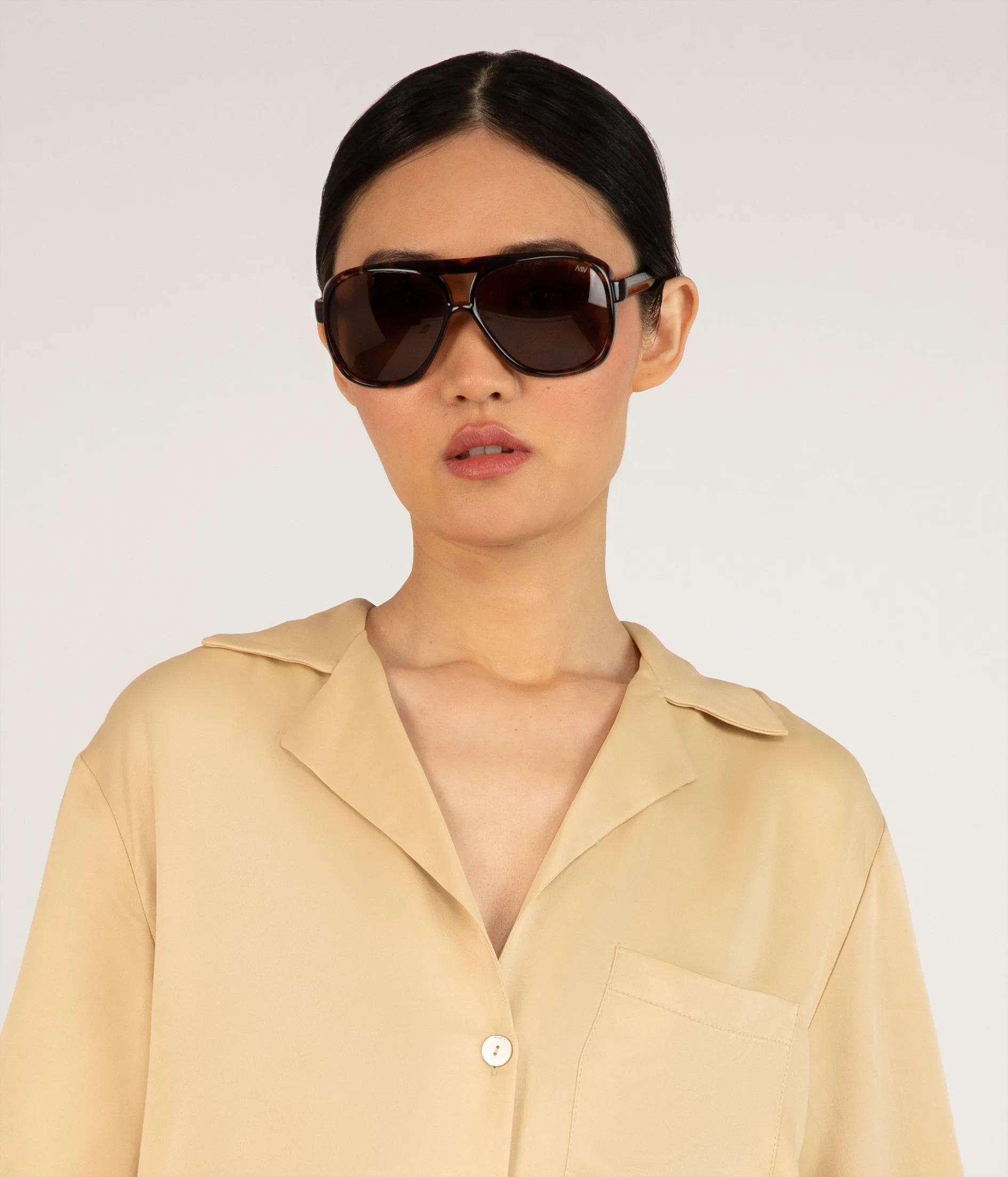 AVIATOR Brown Aviator Sunglasses
