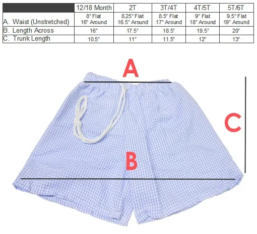 Boys Swimming Trunks - Gingham